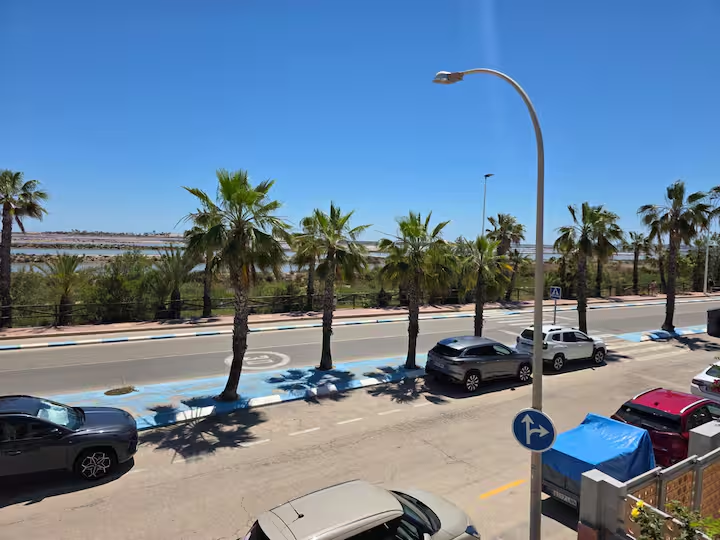 Lagoon and palms near Brisa Marina